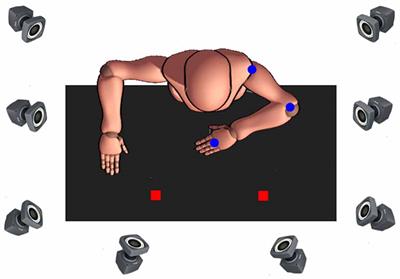 Movement Kinematics and Interjoint Coordination Are Influenced by Target Location and Arm in 6-Year-Old Children